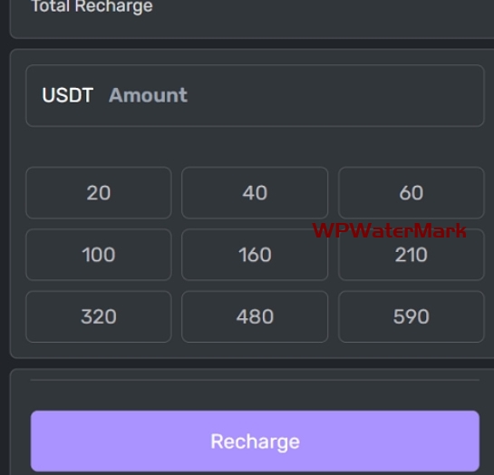 YM1333-海外17语言电力理财投资系统源码/供电设备投资理财源码/电力工程投资理财源码/重点工程投资理财源码