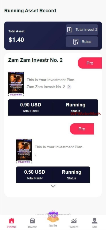 YM1339-海外电影节目共享投资理财源码/影视投资理财源码/影视节目投资理财源码/电影投资理财源码