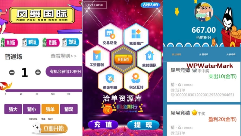 尾数夺宝 最新H5尾号竞猜夺宝源码 [附视频安装教程]-YM1613