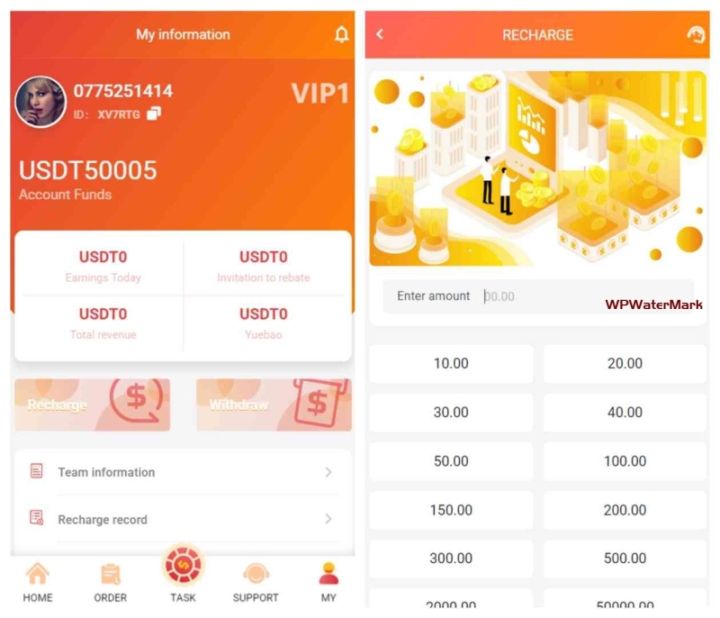 海外多语言抢单系统源码/thinkphp/打针做单/USDT充值/带搭建教程-8Y-YMN2009