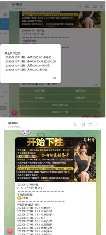 【nodejs开发TG快三骰子游戏】电报快三机器人+USDT上下分+带教程-YM1961