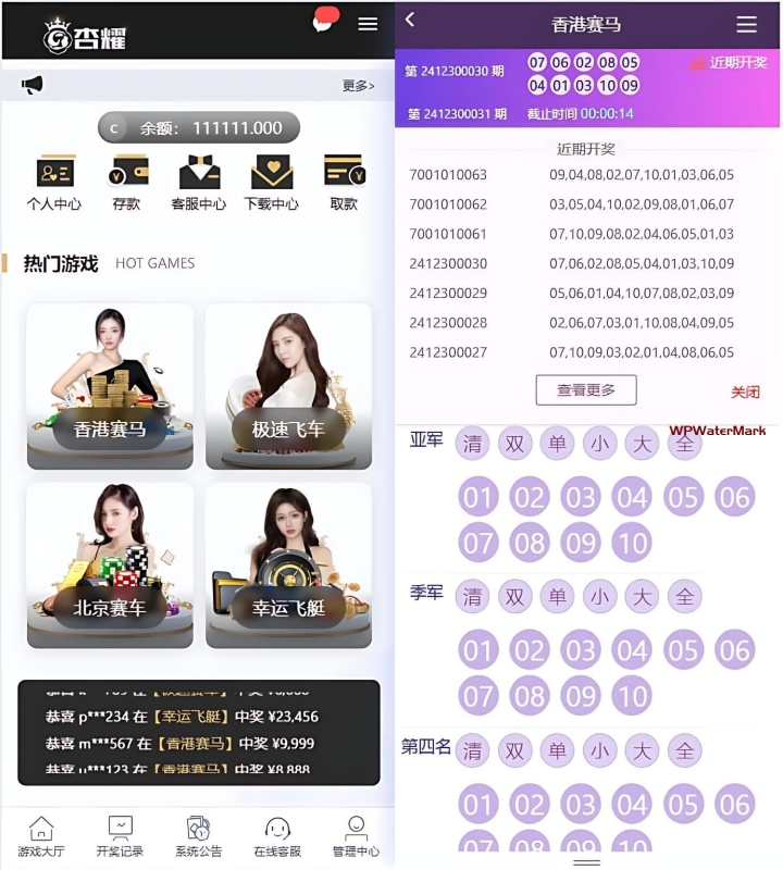 香港赛马源码/PK10/极速飞车程序可二开采集修复源码-YMN2172
